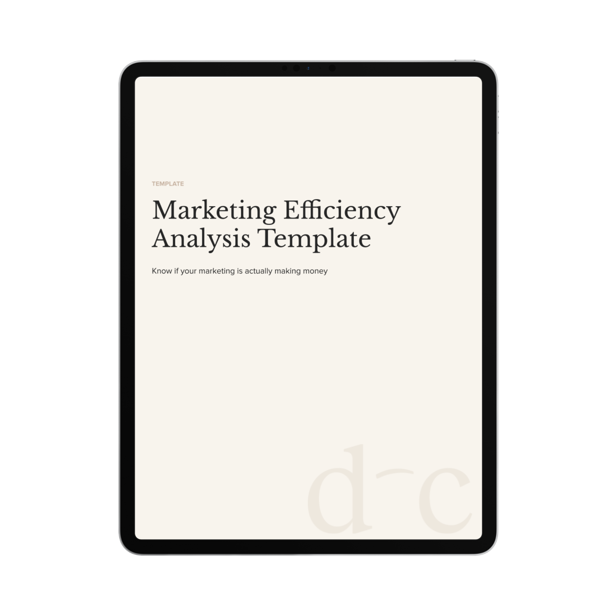 Marketing Efficiency Analysis Template
