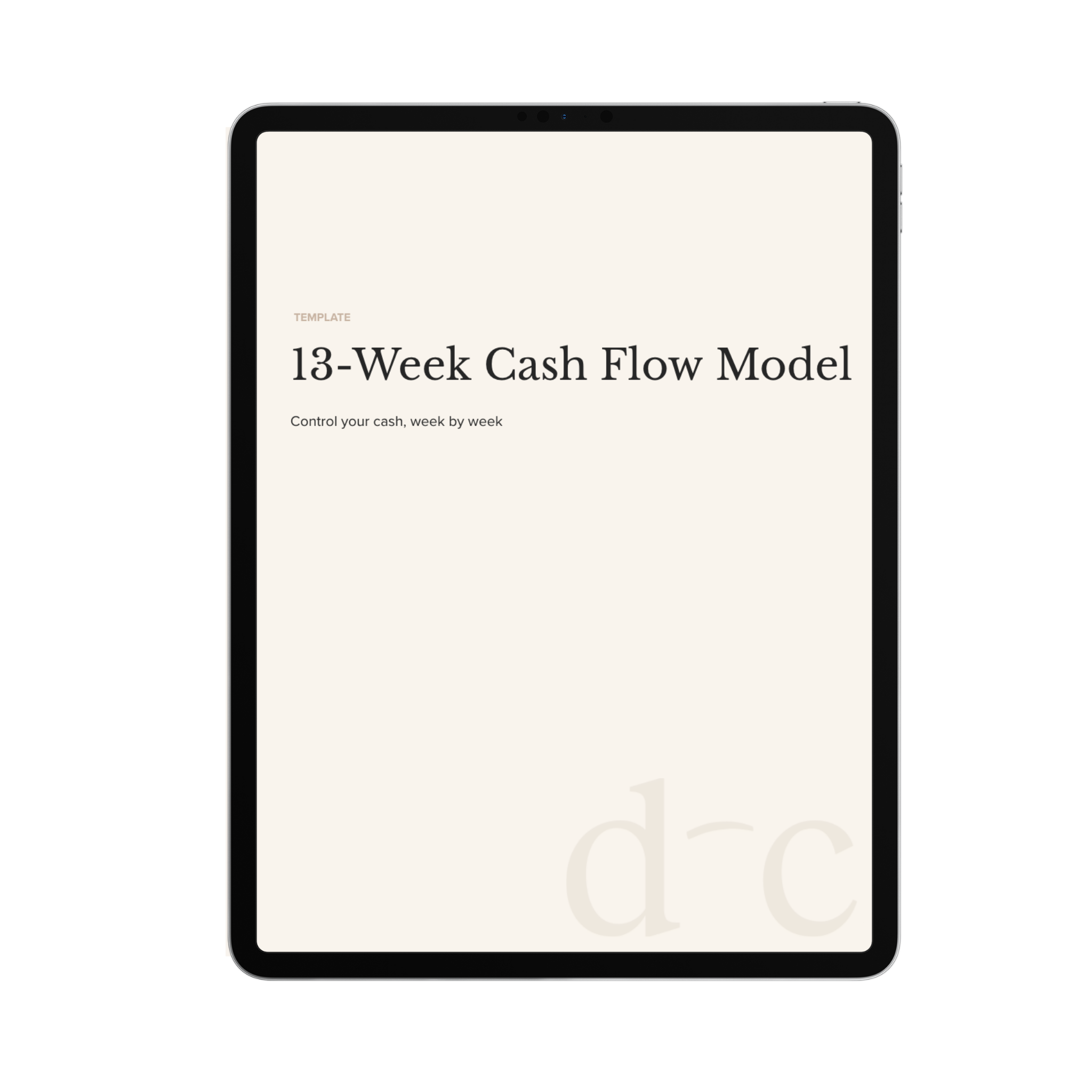 13-Week Cash Flow Model